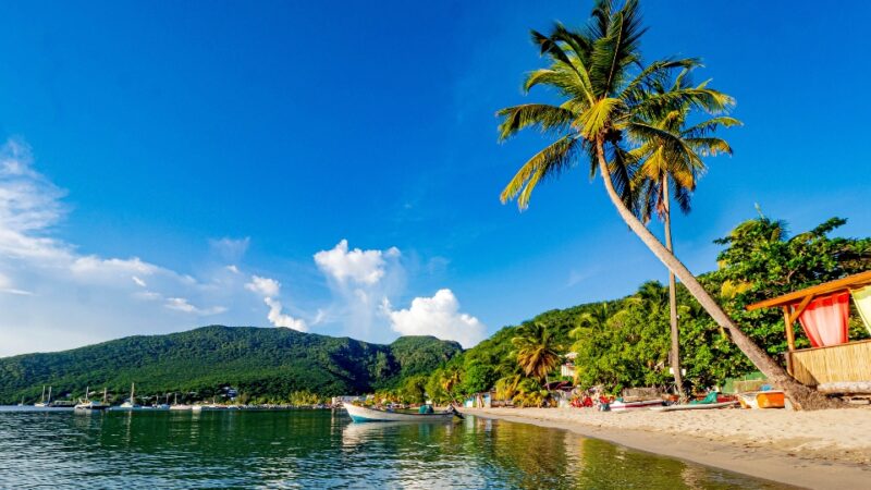Vacances en Martinique : quelques astuces pour que tout se passe bien